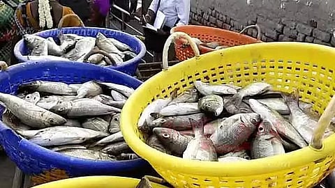 விடுமுறை தினம்: காசிமேட்டில் மீன் வாங்க குவிந்த அசைவ பிரியர்கள்