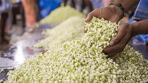 ஏறிய வேகத்தில் இறங்கிய மல்லிகைப்பூ விலை.. விவசாயிகள் கவலை