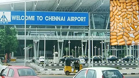 கொகைன் போதைப்பொருள் கடத்தல்