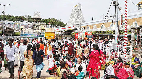 சாமி தரிசனம்