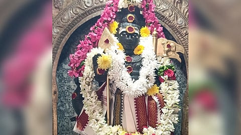 ஆனி மாத தேய்பிறை சஷ்டி பூஜை, சிறப்பு அலங்காரத்தில் புகழிமலை பாலசுப்பிரமணிய சுவாமி