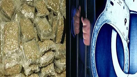 கஞ்சா விற்பனை, தமிழ்நாடு தடுப்பு காவல் சட்டத்தின் கீழ் கைது