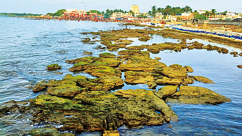 ராமேஸ்வரத்தில் திடீரென உள்வாங்கிய கடல்.!