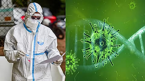 ஆந்திராவில் கொரோனா பாதிப்பு: 4 பேர் பலி -12 பேருக்கு சிகிச்சை