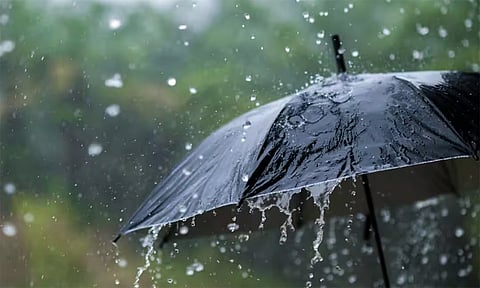மழை, Rain