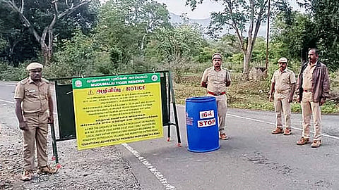 நீலகிரி: மசினகுடி சாலையில் சுற்றுலா வாகனங்களுக்கு இன்று முதல் தடை