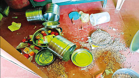 நீலகிரி: அங்கன்வாடி மையத்தை சூறையாடிய கரடி - மக்கள் அச்சம்