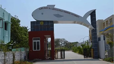 மீன்வள பல்கலைக்கழகத்தில் நடப்பு கல்வியாண்டுக்கான தரவரிசை வெளியீடு