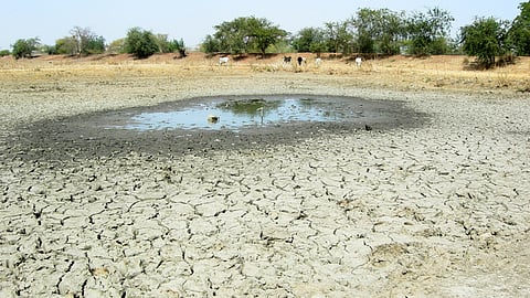 தமிழகத்தில் வறண்ட 3,488 ஏரிகள் - நீர்வளத்துறை தகவல்
