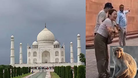 தாஜ்மகால்,கொரிய பெண்,குரங்கு
