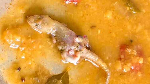 தூய்மை பணியாளர்களுக்கு வழங்கப்பட்ட உணவில் பல்லி கிடந்தது.