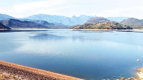 அமராவதி அணைக்கு நீர்வரத்து அதிகரிப்பு