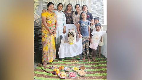 வளர்ப்பு நாய்க்கு வளைகாப்பு நிகழ்ச்சி