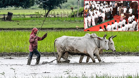 தமிழக சட்டசபையில் இன்று வேளாண் பட்ஜெட் தாக்கல்