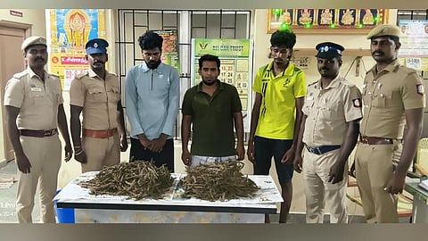 3.5 கிலோ கஞ்சா பறிமுதல்; 3 பேர் கைது.
