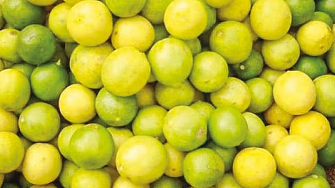 எலுமிச்சம் பழம் ஒரு கிலோ ரூ.280-க்கு விற்பனை.
