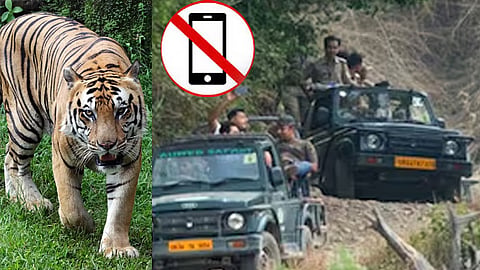 முதுமலையில் வாகன சவாரி செல்லும் சுற்றுலா பயணிகள் செல்போன் பயன்படுத்த தடை..!