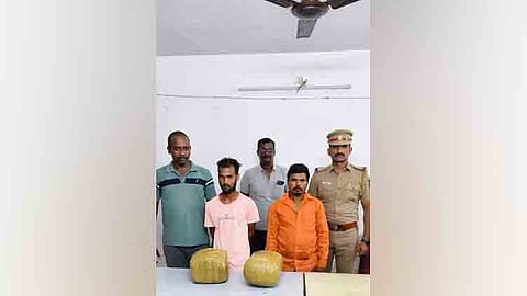 ஒடிசாவில் இருந்து சென்னைக்கு கஞ்சா கடத்திய 2 வாலிபர்கள் கைது.