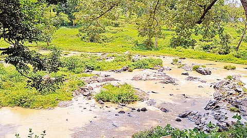 நீலகிரியில் போதிய மழை பெய்யாததால் ஆறுகளில் குறைந்த நீர்வரத்து: குடிநீர் தட்டுப்பாடு அபாயம்