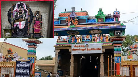 திருஆப்பனூர் திருக்கோவில், திருவாப்புடையார் தரிசனம்