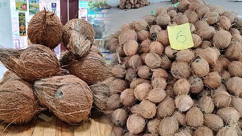 விளைச்சல் பாதிப்பால் தேங்காய் விலை உயர வாய்ப்பு... இருப்பு வைக்கும் விவசாயிகள்