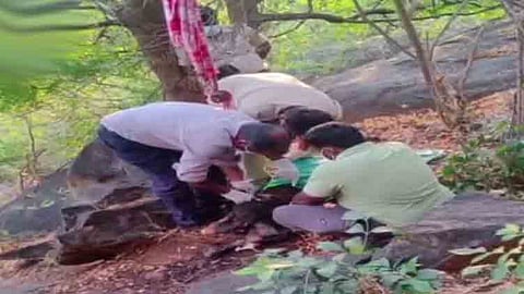 கவரமலை வனப்பகுதியில் அழுகிய நிலையில் ஆண் சடலம் மீட்பு.