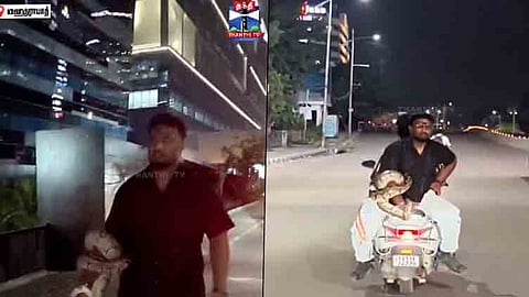 கையில் மலைப்பாம்பை சுற்றிக்கொண்டு ஸ்கூட்டரில் சென்ற ஐடி ஊழியர்.