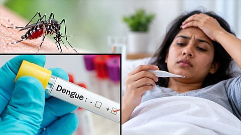 தமிழகத்தில் டெங்குவால் தினமும் 200-க்கும் மேற்பட்டோர் பாதிப்பு