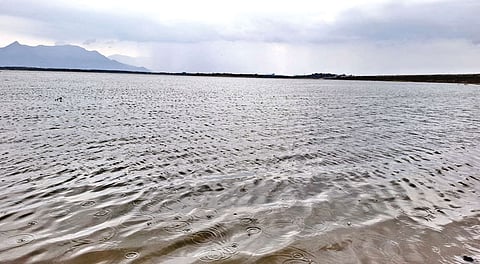 வைகை அணை நீர்மட்டம் 42 அடியாக உயர்வு