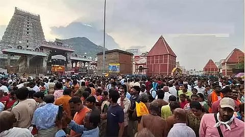திருவண்ணாமலை கோவிலில் அபிஷேகம் பார்க்கும் பக்தர்களுக்கு கட்டாயமாகிறது மருத்துவ பரிசோதனை..!