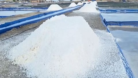 salt production