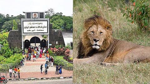 வண்டலூர் பூங்கா