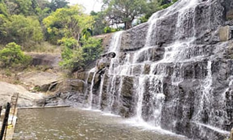 மேகமலை அருவி