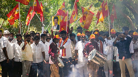 மதுராந்தகம், தாராபுரத்தில் த.வெ.க. முன்னிலை: பட்டாசு வெடித்து தொண்டர்கள் கொண்டாட்டம்