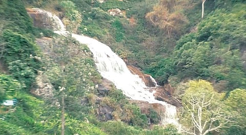 கோத்தகிரி அருகே ஆர்ப்பரித்து கொட்டும் உயிலட்டி நீர்வீழ்ச்சி: விவசாயிகள் மகிழ்ச்சி