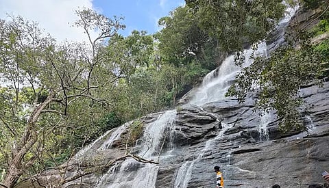 கிளியூர் நீர்வீழ்ச்சி