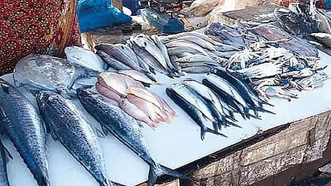 சென்னை காசிமேடு சந்தையில் மீன் வாங்க குவிந்த மக்கள்