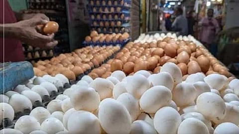 நாமக்கல் மண்டலத்தில் முட்டை விலை 10 காசுகள் உயர்வு