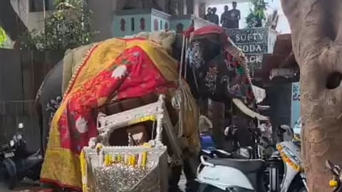 கர்நாடகாவில் தசரா கொண்டாட்டத்தில் யானை மிரண்டு ஓடியதால் பரபரப்பு