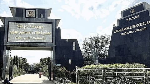 பறவைக்காய்ச்சல் எதிரொலி: வண்டலூர் பூங்காவில் இன்றும், நாளையும் பொதுமக்களுக்கு அனுமதி இல்லை