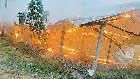 கோழிப்பண்ணையில் பயங்கர தீ விபத்து