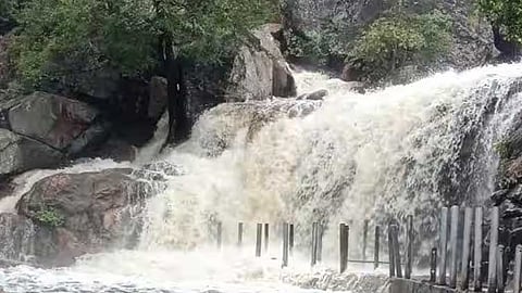 அருவியில் வெள்ளப்பெருக்கு