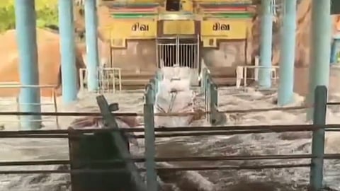 அமணலிங்கேஸ்வரர் கோவிலுக்குள் புகுந்த வெள்ளம்
