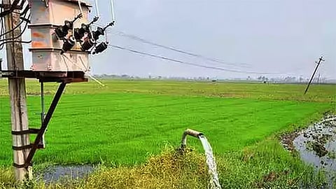 50 ஆயிரம் விவசாய மின் இணைப்புகள்: விண்ணப்பிக்க தேவையான ஆவணங்கள் என்னென்ன..?