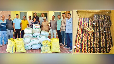 சுக்கு, மஞ்சள் மூடைகளை கைப்பற்றிய கடலோர பாதுகாப்பு போலீசார். கைப்பற்றப்பட்ட வலி நிவாரணி மாத்திரைகள்.