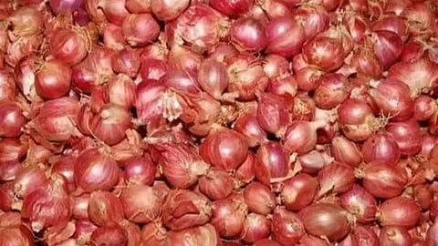 சாம்பார் வெங்காயம்
