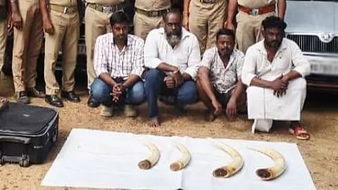 தேனி: யானை தந்தங்களைக் கார்களில் கடத்திய 4 பேர் கைது!