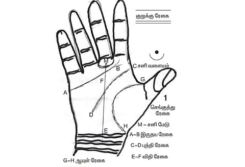 கைரேகை அற்புதங்கள் : சனி பகவானின் பார்வை பலம்