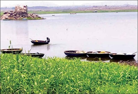 மேட்டூர் அணை நீர்மட்டம் குறைவு எதிரொலி