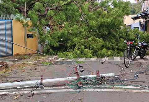 சூறாவளி காற்றுக்கு மின்கம்பிகள் அறுந்து விழுந்தன